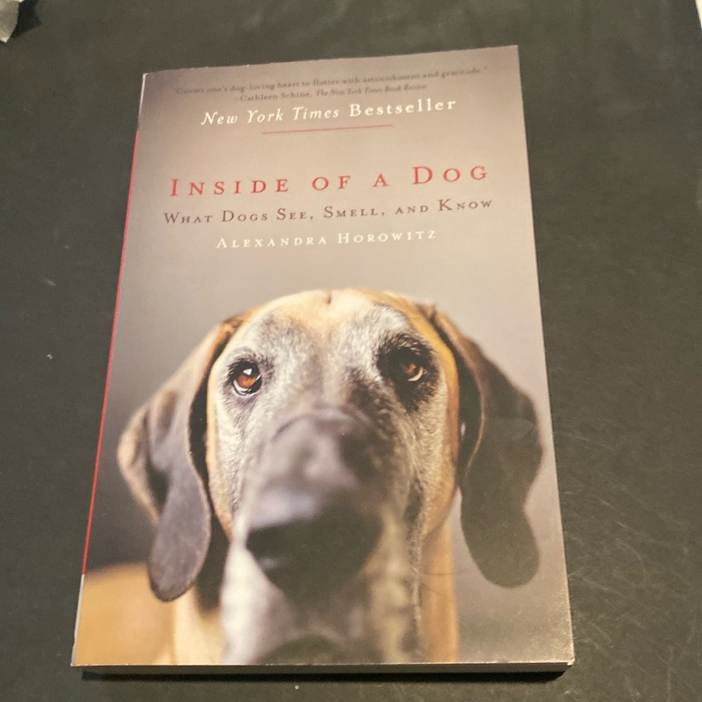 “Inside of a Dog,” Paperback